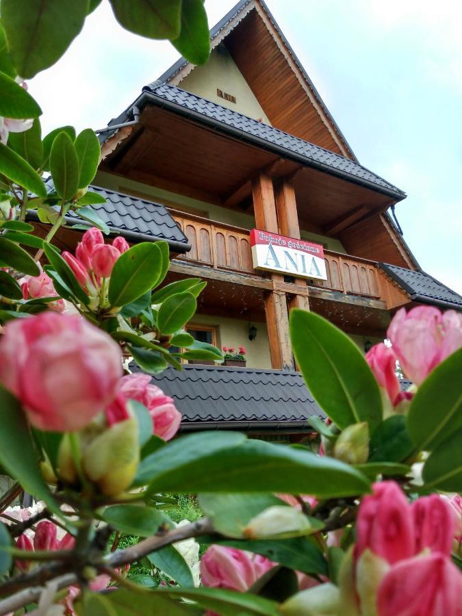 Ania Wynajem Pokoi Homestay *