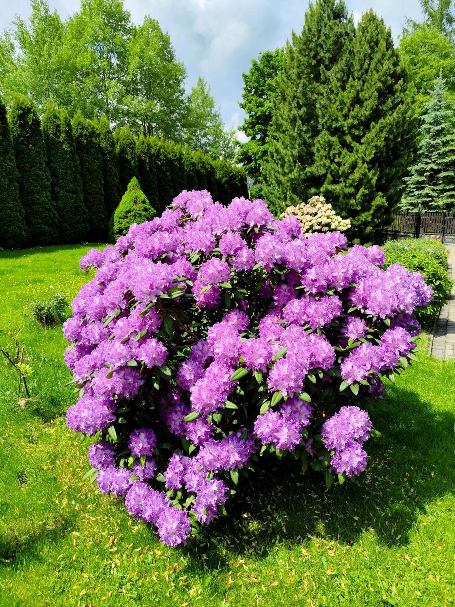 Ania Wynajem Pokoi Homestay *